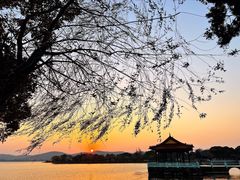 -君来湖滨饭店·玫瑰园