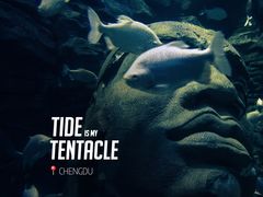 -成都浩海立方海洋公园