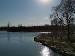 -大兴滨河森林公园