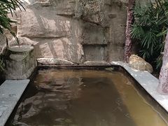 -天赐温泉