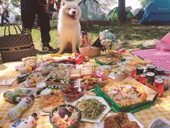 -上海月湖雕塑公园