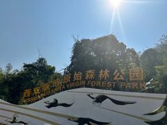 -西双版纳原始森林公园