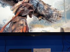 -浣熊部落ps4 ps5 switch 电玩(茶店子店)