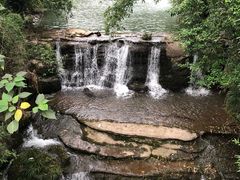 -峨眉山报国寺