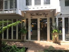 -Fern Forest Cafe