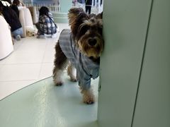 -怪兽屋·羊驼·猫咖·狗咖(俊华广场店)