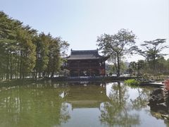 -顺峰山公园
