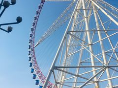 -哈尔滨文化公园