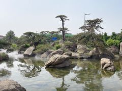 -罗红摄影艺术馆