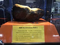 -紫金山天文台