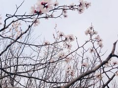 -北宫国家森林公园