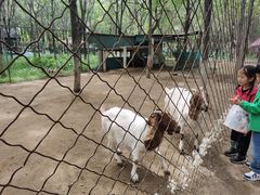 -草根堂农场