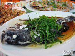 网上下载的清蒸石斑鱼-长崎家日式料理(人民大街店)