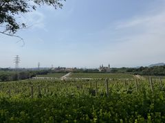 -北京张裕爱斐堡酒庄