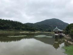 -九鲤湖风景区