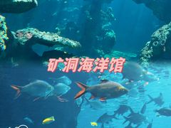 -长鹿旅游休博园