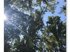 -云碧峰国家森林公园
