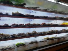 -镇江龙·火锅串串(武侯祠店)