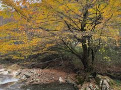 -光雾山旅游景区