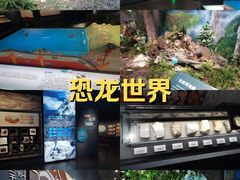 -湖南省地质博物馆