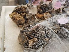 -盒马鲜生(宝地店)