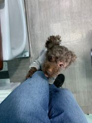 -15C7 男士理发馆 烫染专业店