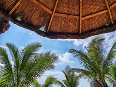 -三亚海棠湾万丽度假酒店