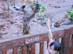 -长鹿旅游休博园