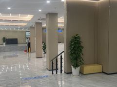 -上海大学附属上海和平眼科医院