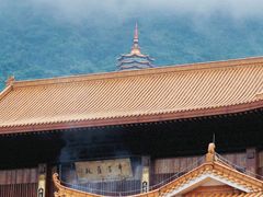 -深圳仙湖植物园