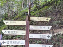 -刘伯温故里景区百丈漈