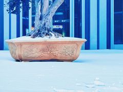 -西北湖绿化广场