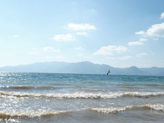 -月亮湾湿地公园