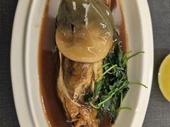 -沈灶河豚宴·河豚融合餐厅(汉中路店)
