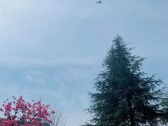 -杭州城北体育公园