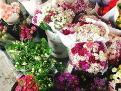 -秦美花卉(天朗·莱茵小城2期店)