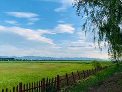 -野鸭湖国家湿地公园