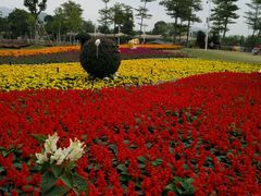 -荔湾区儿童公园