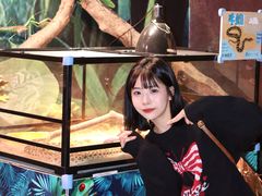 -正佳雨林生态植物园