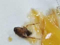 -鸿昇中西餐厅(石排店)