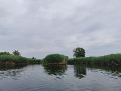 -白洋淀景区