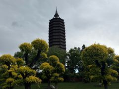-西海子公园