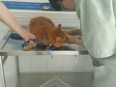 -畜牧兽医站(共江路店)