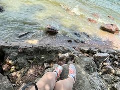 -深圳湾公园(南山区)