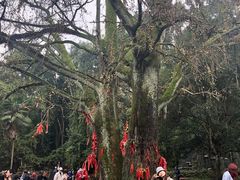 -三国赤壁古战场