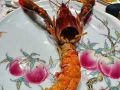 -新光酒家·河豚·海鲜·蟹料理(浦东店)