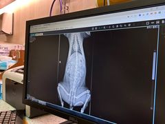 -宠爱国际动物医院·消化内科·心肾内科·ISFM猫友好(望京店)