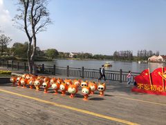 -上海长兴岛郊野公园