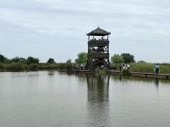 -盐城丹顶鹤湿地生态旅游区