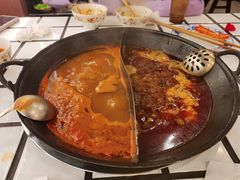 -朱光玉火锅馆(正弘城店)